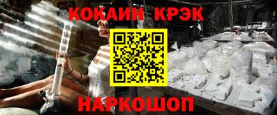 индика Кингисепп
