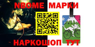 индика Кингисепп