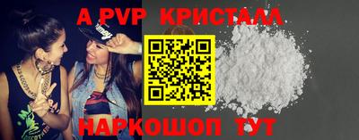 индика Кингисепп