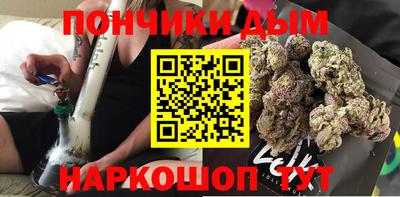 индика Кингисепп