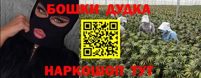 индика Кингисепп