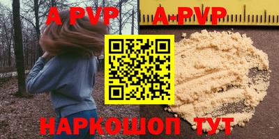 индика Кингисепп