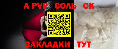индика Кингисепп
