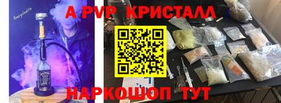 индика Кингисепп