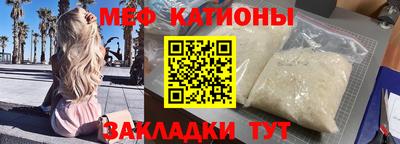индика Кингисепп
