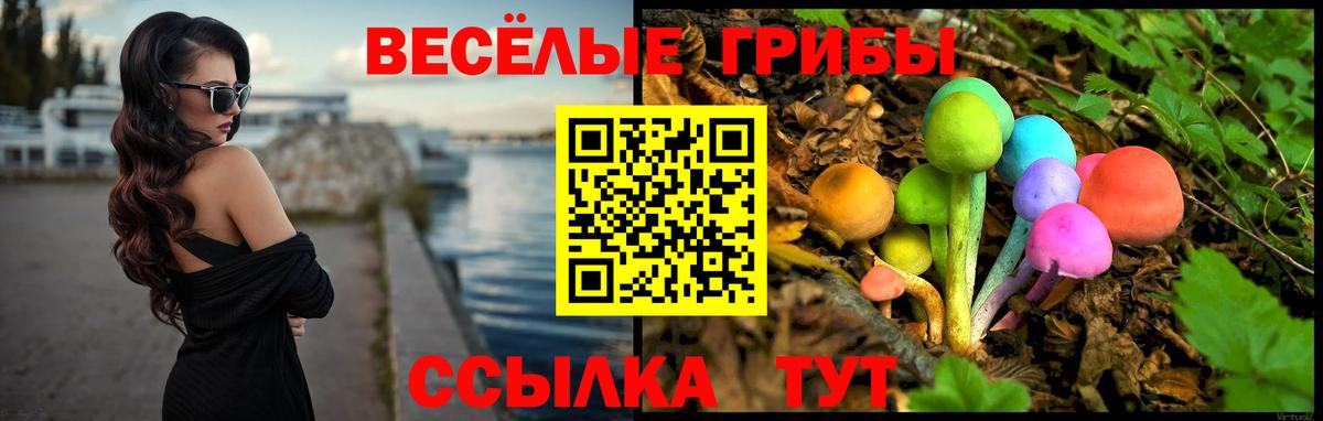 Галлюциногенные грибы мухоморы  Галлюциногенные грибы Cubensis  Вход с VPN  Коркино 